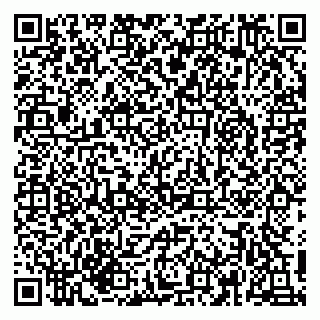 vCard 79215279377