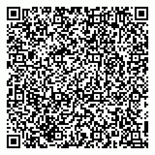 vCard 79215279385