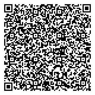 vCard 79215279399