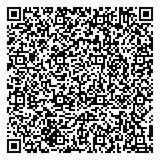 vCard 79215279403