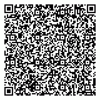 vCard 79215279733