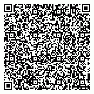 vCard 79215279743