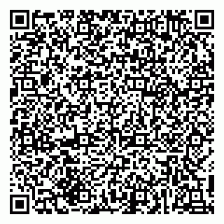 vCard 79215280031