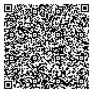 vCard 79215281334