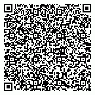 vCard 79215281382