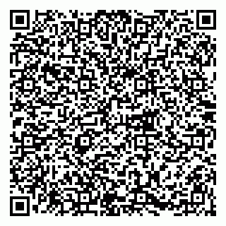 vCard 79215281703