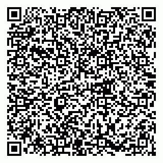 vCard 79215281738