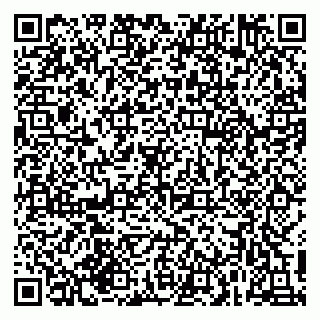 vCard 79215287013