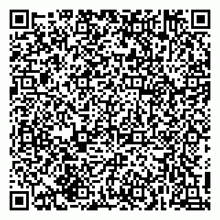 vCard 79215287313