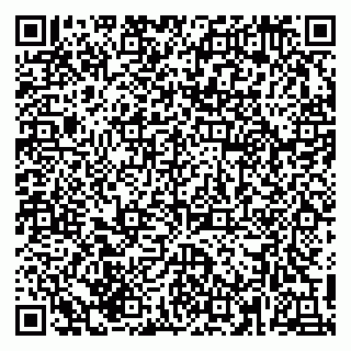 vCard 79215287739