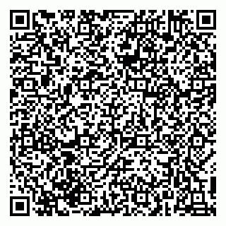 vCard 79215287803
