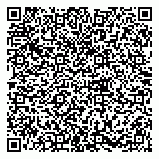vCard 79215294133