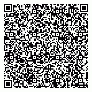 vCard 79215294967