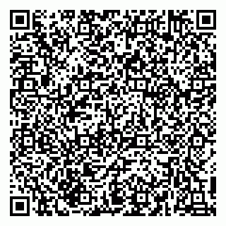 vCard 79215295113
