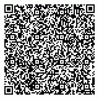 vCard 79215299393