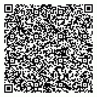 vCard 79215299399