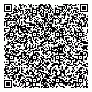 vCard 79215299712