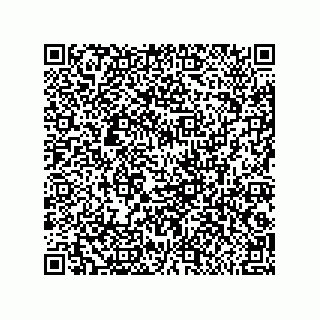 vCard 79216000029