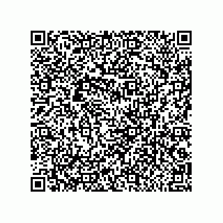 vCard 79216000299