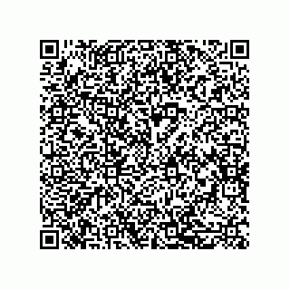 vCard 79216000317