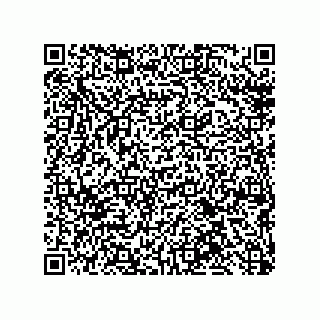 vCard 79216000520