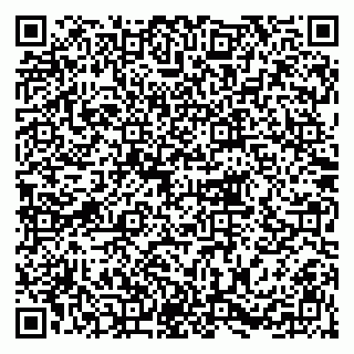 vCard 79216213919