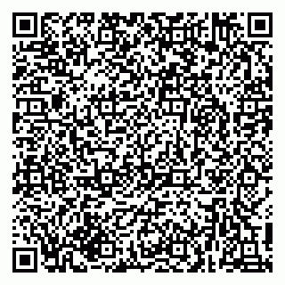 vCard 79216221013