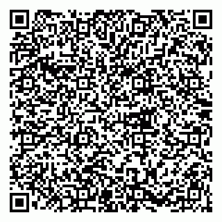 vCard 79216221339