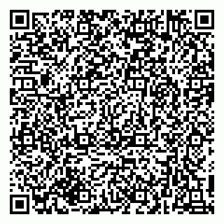 vCard 79216223203