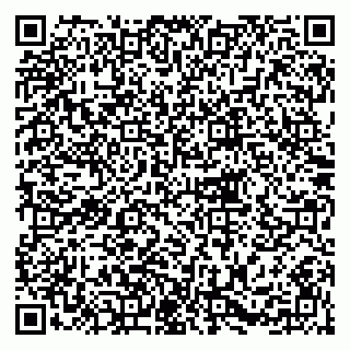 vCard 79216223205
