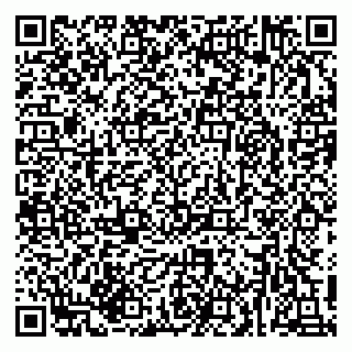 vCard 79216223333