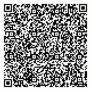 vCard 79216228993