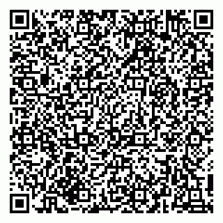 vCard 79216229503