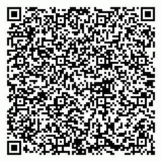 vCard 79216231003