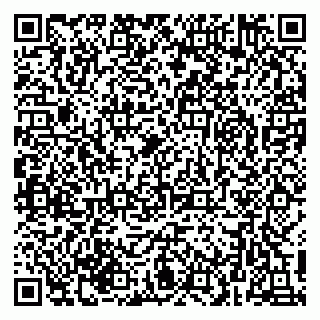 vCard 79216232003