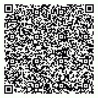vCard 79216233100