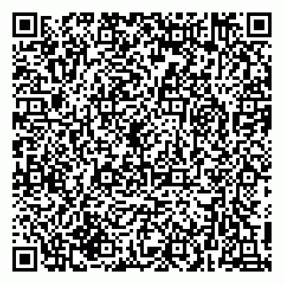 vCard 79216233303