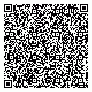 vCard 79216233309
