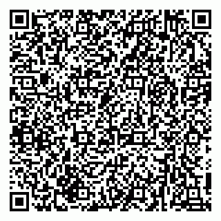 vCard 79216233333