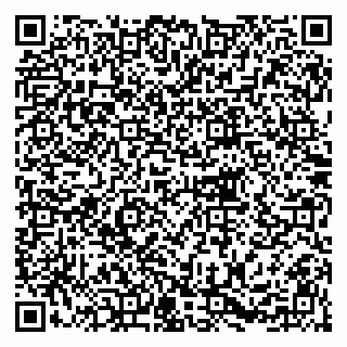 vCard 79216233371