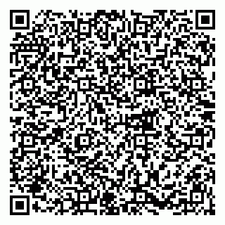 vCard 79216233733