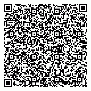 vCard 79216235403