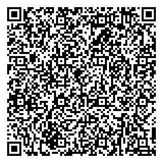 vCard 79216239031