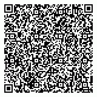 vCard 79216239073