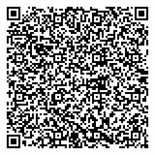 vCard 79216239299
