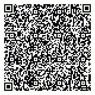 vCard 79216239333
