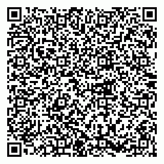 vCard 79216239335