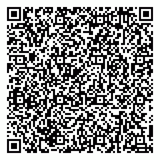 vCard 79216239379