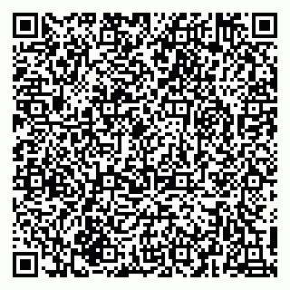 vCard 79216239703