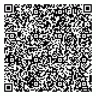 vCard 79216239804